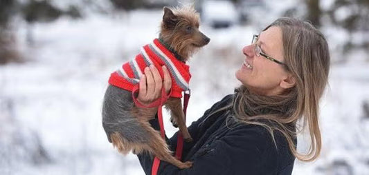Keeping Dogs and Cats Warm and Safe in Winter